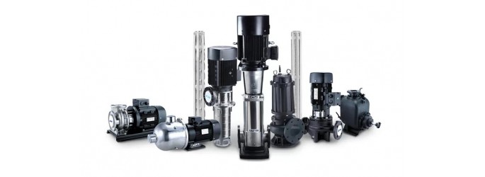 Ассортимент товаров CNP на нашем сайте